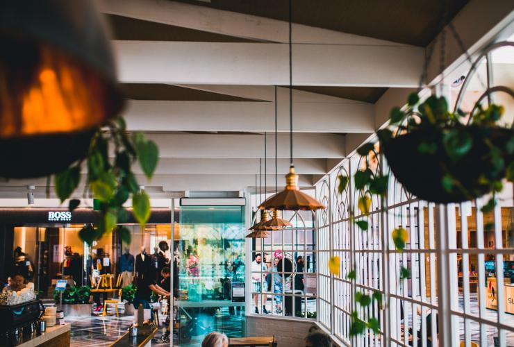 Greenhouse Coffee and Co., Canberra, Australian Capital Territory © Greenhouse Coffee and Co. Greenhouse Coffee and Co., Canberra, Australian Capital Territory © Greenhouse Coffee and Co.