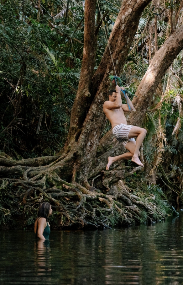 Cape Tribulation, Tropical North Queensland, QLD © Tourism Australia