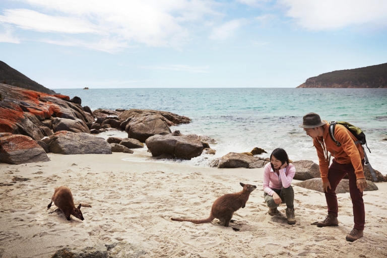 Freycinet Experience Walk, Freycinet National Park, Tasmanien © Tourism Australia