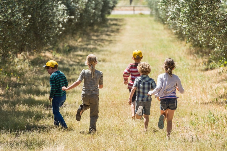 Silverdale Olive Orchard, Coral Coast, Westaustralien © Australia's Coral Coast