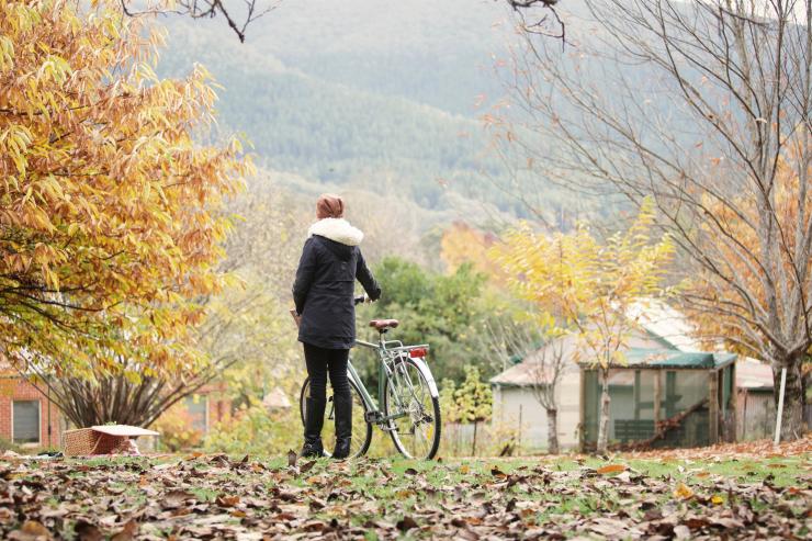 High Country Harvest Festival, Victoria © Tourism Australia