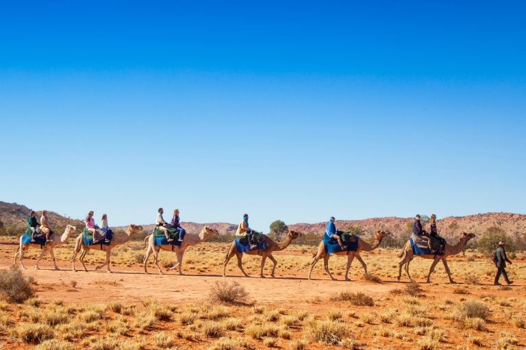 Pyndan Camel Tracks, Alice Springs, Northern Territory © Tourism NT