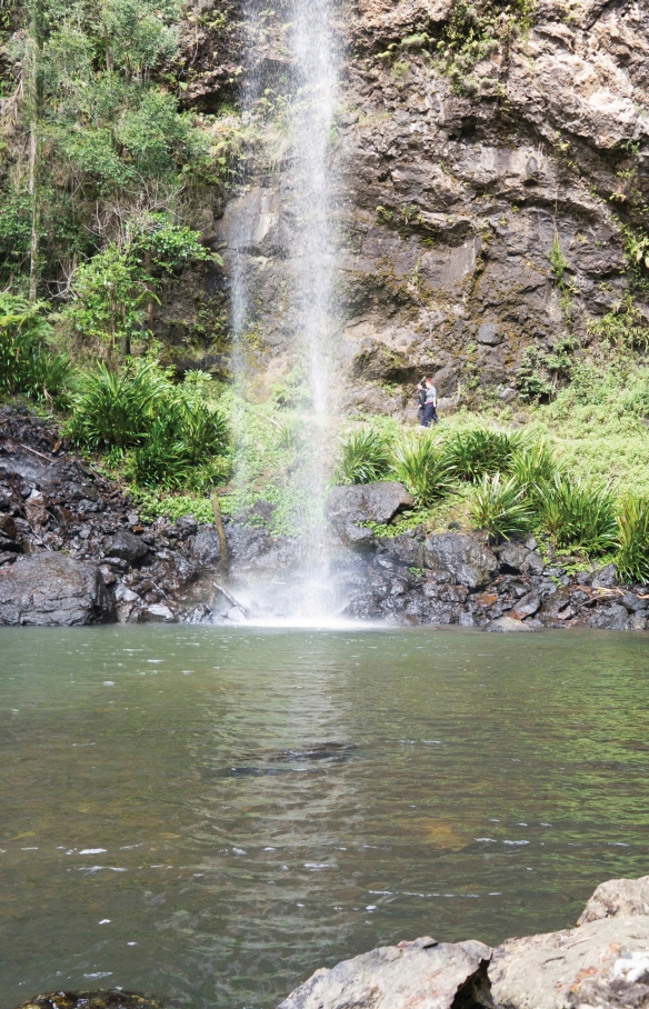 Twin Falls, Springbrook National Park, Queensland © Michael Taylor-Thomas