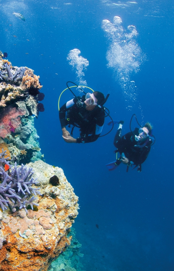 Pixies Garden, Great Barrier Reef, Queensland © Tourism and Events Queensland