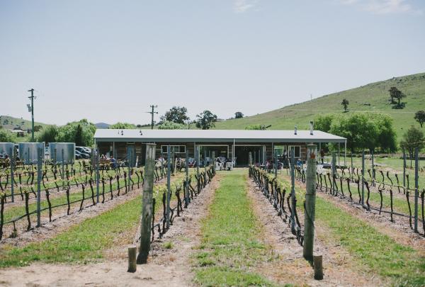 Blick über die Reben in Richtung Weinkeller am Four Winds Vineyard, Murrumbateman, New South Wales © VisitCanberra