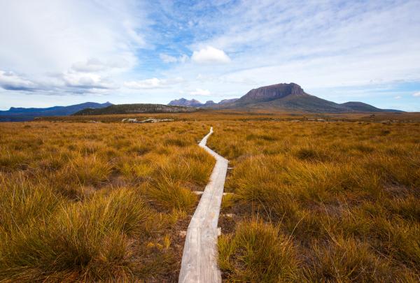 Cradle Mountain Huts Overland Track Walk, Mount Pelion West, Cradle Mountain-Lake St Clair National Park, Tasmanien © Tasmanian Walking Company, Great Walks of Australia