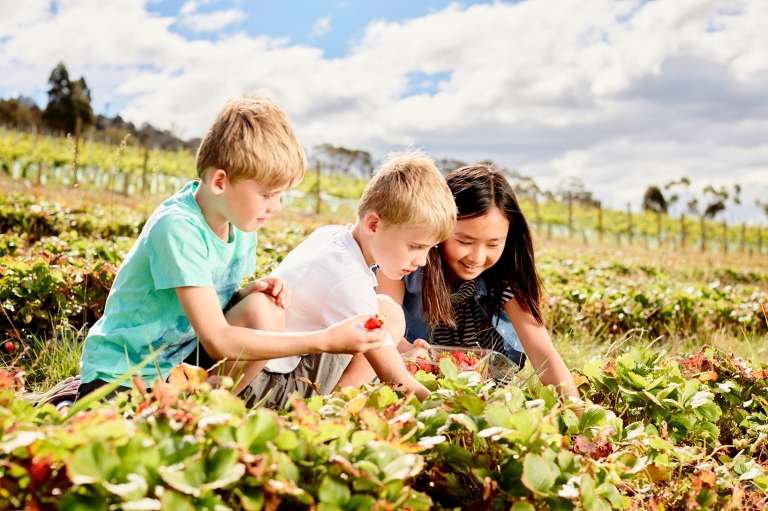 Coal River Farm, Cambridge, Tasmanien © Tourism Tasmania