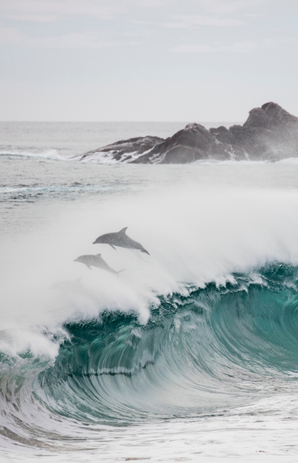 Cape Naturaliste nahe Dunsborough, Westaustralien © Tourism Western Australia