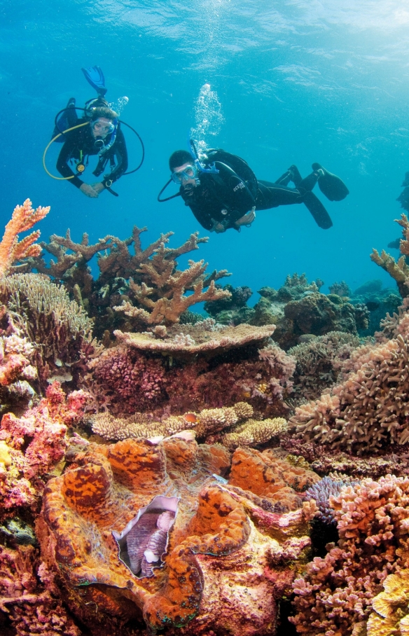 Clam Gardens, Great Barrier Reef, Queensland © Tourism and Events Queensland