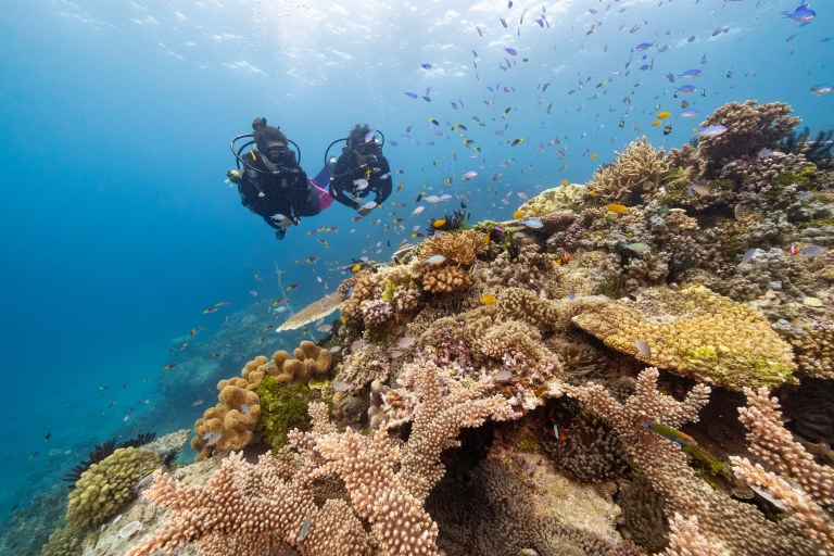 John Brewer Reef, Great Barrier Reef, Queensland © Tourism and Events Queensland