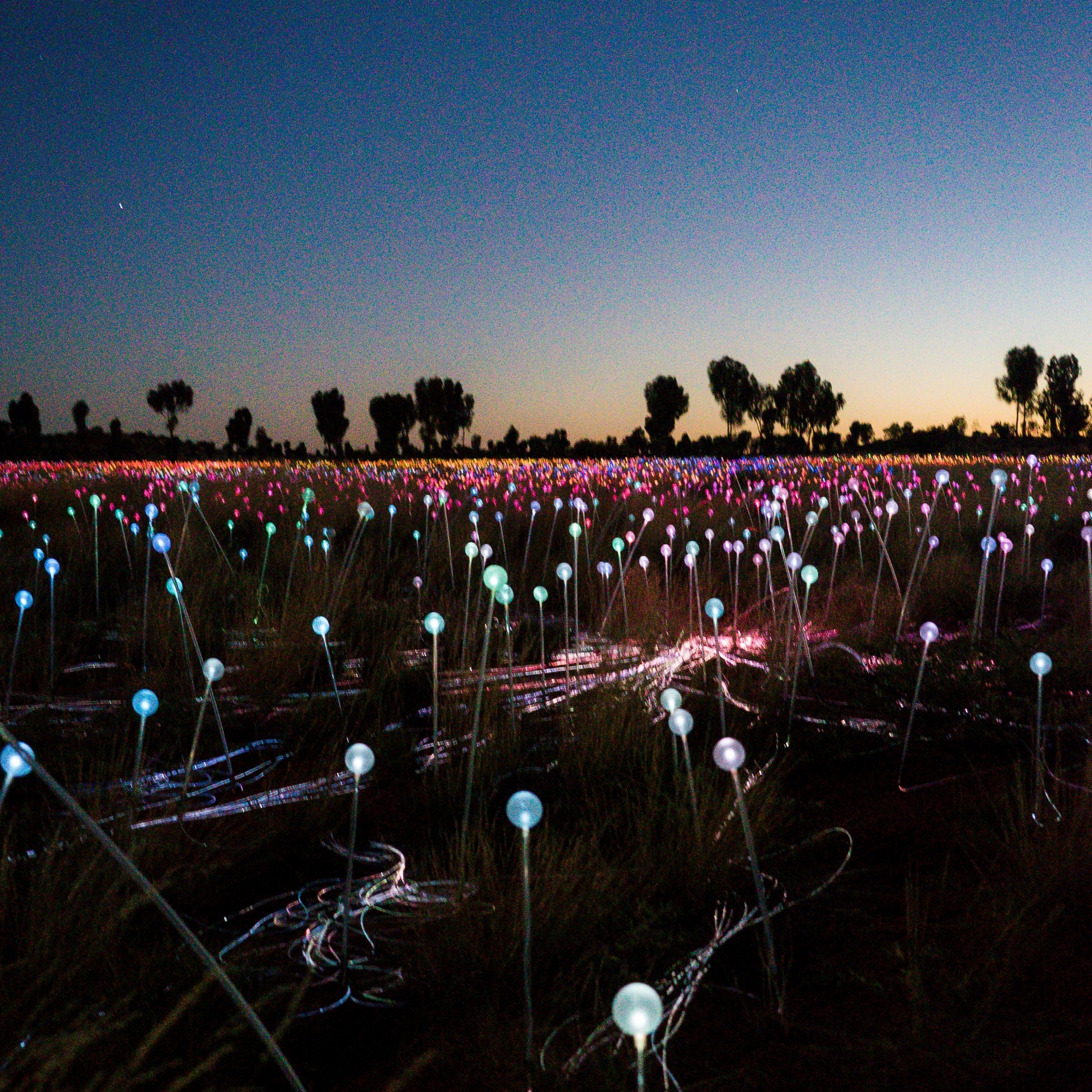 Installation „Field of Light“ am Uluru © Stephen Parry