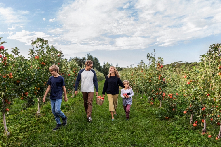 Eine Familie verbringt einen Tag mit dem Pflücken von Äpfeln im Shields Orchard in Bilpin © Destination NSW