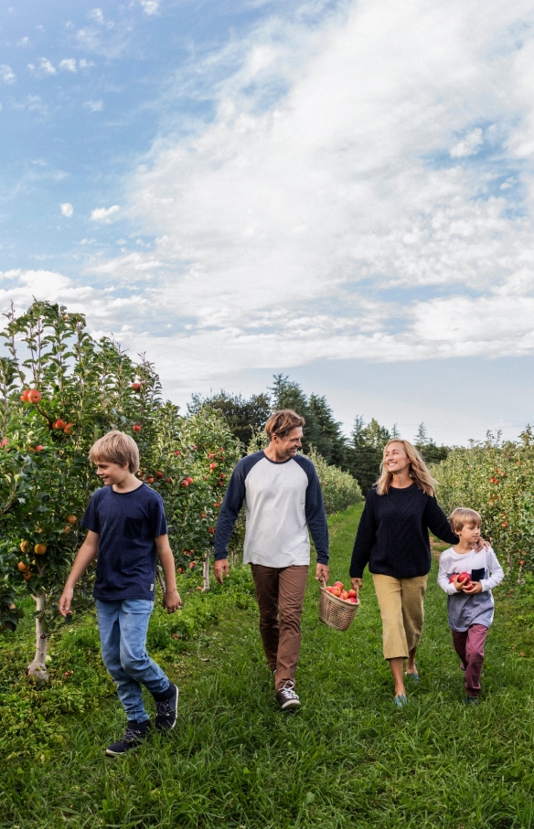 Eine Familie verbringt einen Tag mit dem Pflücken von Äpfeln im Shields Orchard in Bilpin © Destination NSW