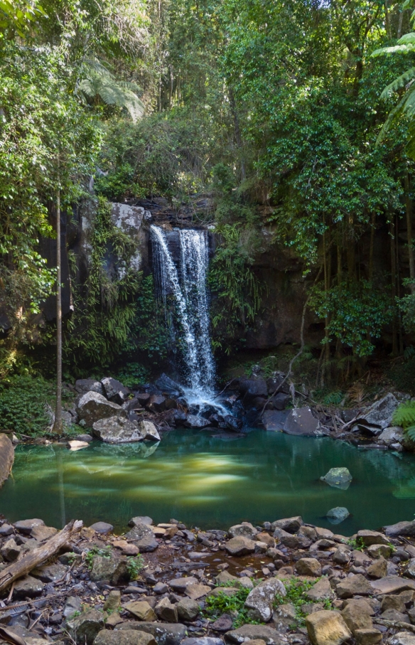 Ein Paar blickt auf den Wasserfall Curtis Falls im Tamborine National Park © Destination Gold Coast