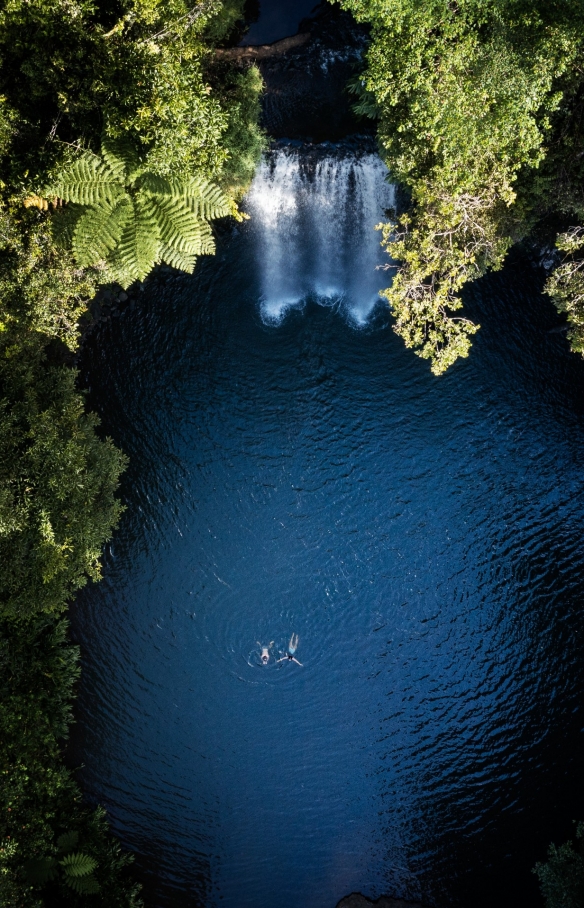 Millaa Millaa Falls, Millaa Millaa, Queensland © Tourism and Events Queensland