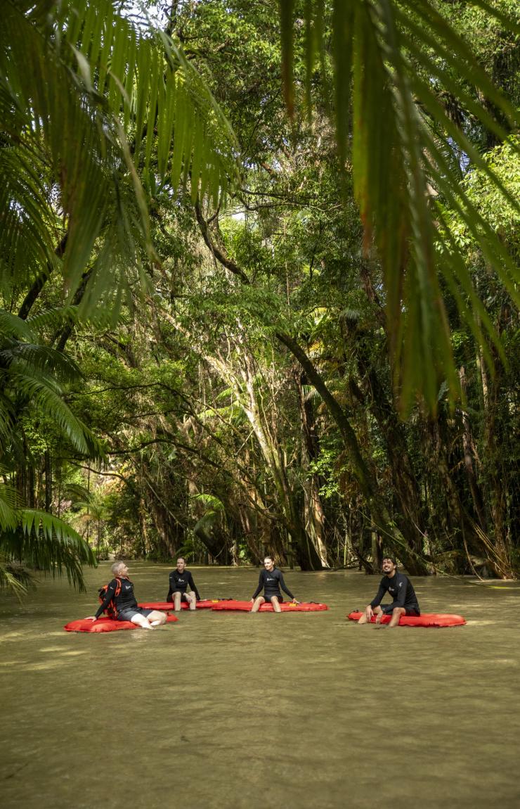 River Drift Snorkelling-Tour mit Back Country Bliss Adventures, Daintree Rainforest, Queensland © Tourism and Events Queensland
