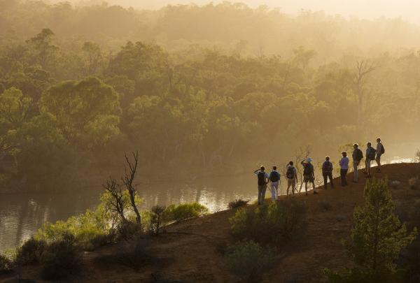Murray River Walk, Murray River, Südaustralien © Tourism Australia