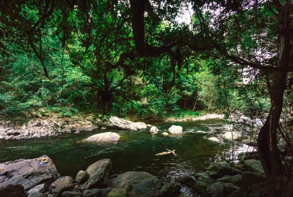 Frau schwimmt in einem Rockpool in der Mossman Gorge im Daintree National Park in Queensland © Tourism Tropical North Queensland