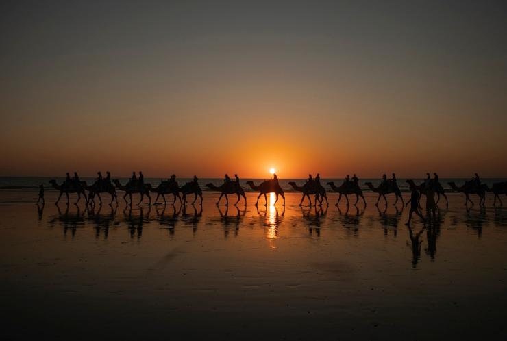 Kamelkarawane am Cable Beach bei Sonnenuntergang in Broome © Tourism Australia Kamelkarawane am Cable Beach bei Sonnenuntergang in Broome © Tourism Australia