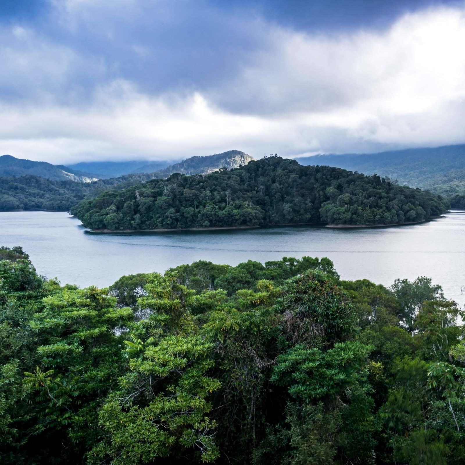 Daintree Rainforest, Cape Tribulation, Queensland © James Vodicka