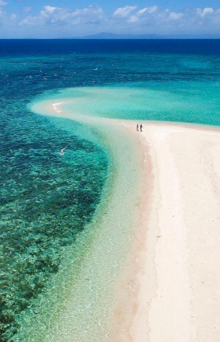 Sailaway, Mackay Cay, Queensland © Sailaway Cape Tribulation Sailaway, Mackay Cay, Queensland © Sailaway Cape Tribulation