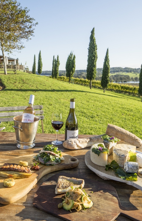 Picknick mit Wein und Essen auf dem Rasen von Cupitt's Winery © Destination NSW