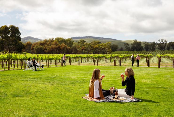 Jacob's Creek, Barossa Valley, SA © Tourism Australia