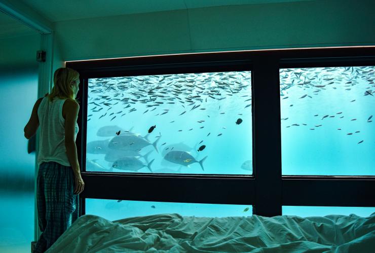 Cruise Whitsundays Reef Suite Accommodation, Whitsundays, QLD © Cruise Whitsundays Cruise Whitsundays Reef Suite Accommodation, Whitsundays, QLD © Cruise Whitsundays