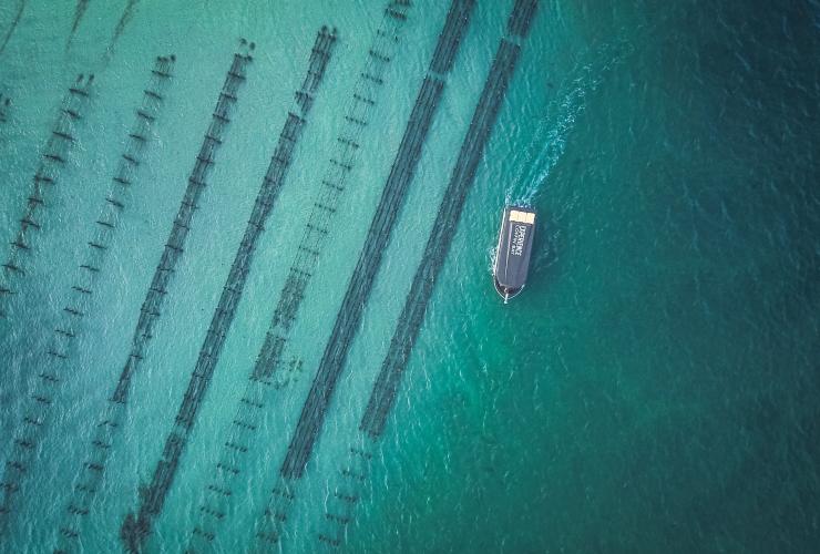 Experience Coffin Bay, Eyre Peninsula, SA © City of Port Lincoln/ Kinship Productions