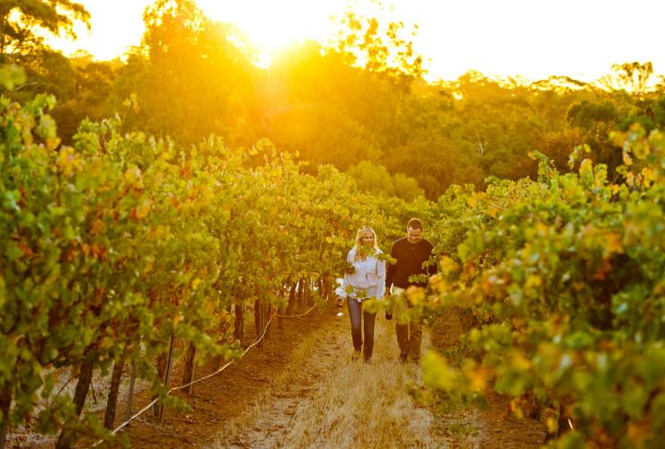 Sevenhill Cellars, Clare Valley, SA © Adam Bruzzone, South Australian Tourism Commission Sevenhill Cellars, Clare Valley, SA © Adam Bruzzone, South Australian Tourism Commission