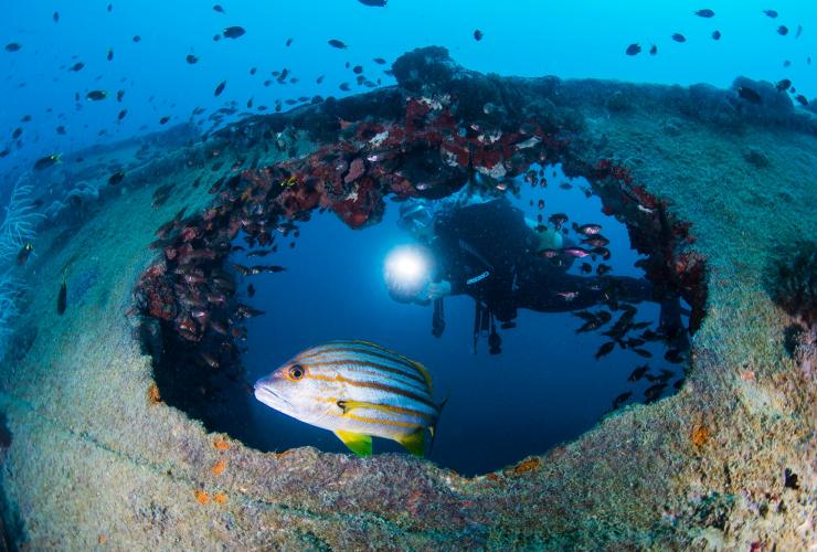 Scubad diving around the SS. Yongala shipwreck on the Great Barrier Reef in Queensland © Tourism and Events Queensland/Scuba Diver Life