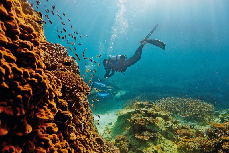 Great Barrier Reef, Heron Island, QLD © Paul Giggle, Tourism and Events Queensland Great Barrier Reef, Heron Island, QLD © Paul Giggle, Tourism and Events Queensland