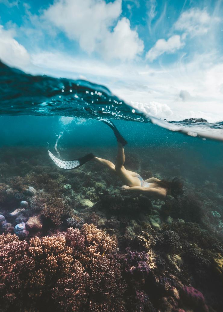 Snorkelling on Lizard Island in Queensland © Tourism and Events Queensland