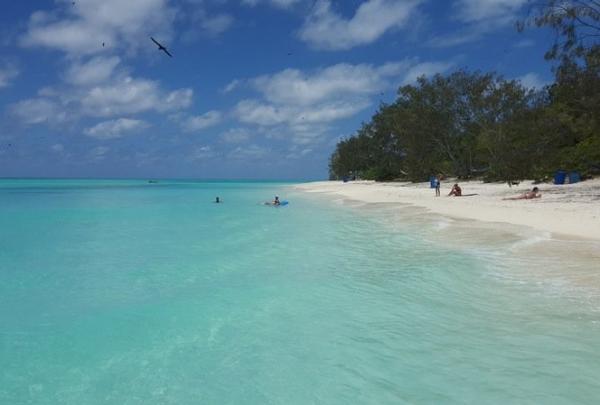 North West Island, Great Barrier Reef, QLD © Tourism and Events Queensland
