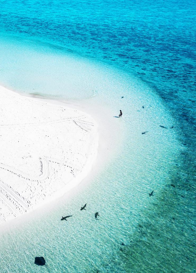Heron Island, Great Barrier Reef, QLD © James Vodicka Heron Island, Great Barrier Reef, QLD © James Vodicka