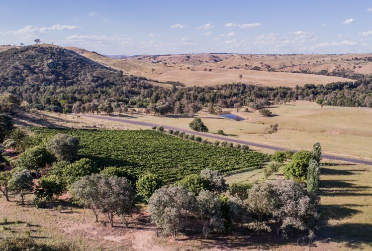 Aerial view of Collector Wines, Collector, New South Wales © Sammy Hawker, Collector Wines