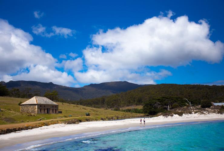 Maria Island Walk, Maria Island, TAS © Maria Island Walk, Great Walks of Australia Maria Island Walk, Maria Island, TAS © Maria Island Walk, Great Walks of Australia