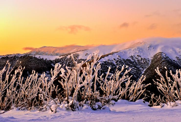 Falls Creek, VIC © Chris Hocking