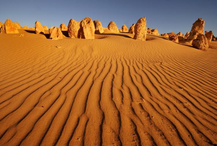The Pinnacles, Nambung National Park, WA © BIG4 Holiday Parks The Pinnacles, Nambung National Park, WA © BIG4 Holiday Parks
