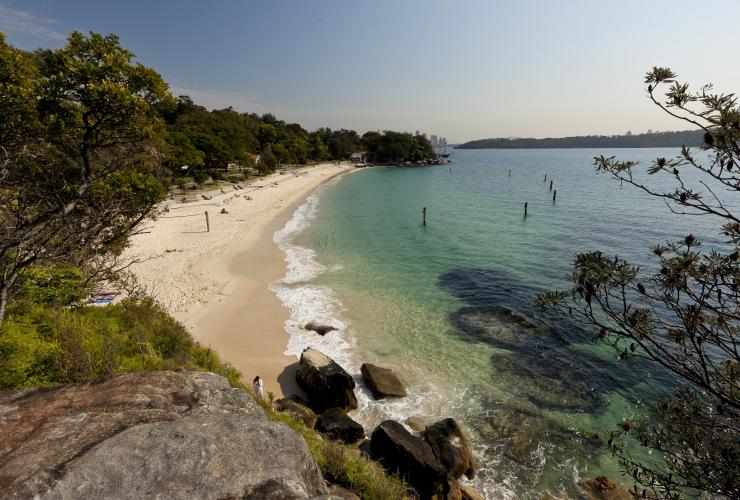 Shark Beach at Nielsen Park, Sydney © Andrew Gregory / Destination NSW