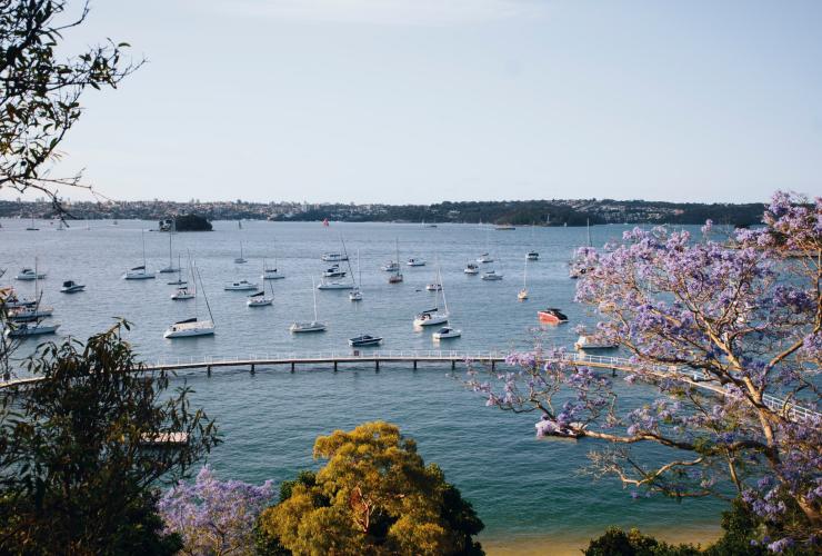 Murray Rose Pool, Redleaf Beach, Double Bay, New South Wales © Destination NSW