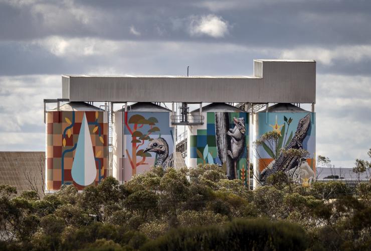 Painted grain silos on the PUBLIC Silo Trail in Newdegate © Bewley Shaylor Painted grain silos on the PUBLIC Silo Trail in Newdegate © Bewley Shaylor