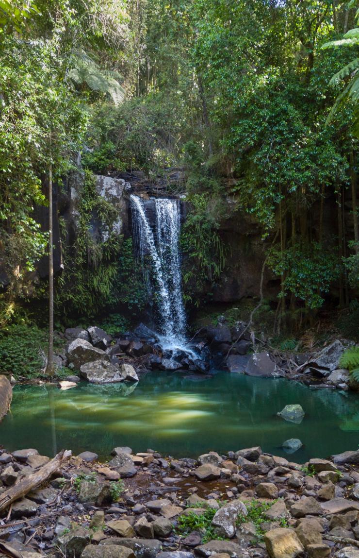 Couple look out at Curtis Falls waterfall in Tamborine National Park © Destination Gold Coast Couple look out at Curtis Falls waterfall in Tamborine National Park © Destination Gold Coast