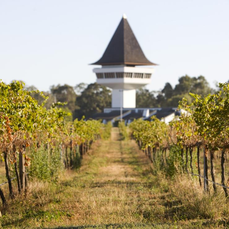 Vineyards at Mitchelton Winery in Goulburn Valley © Victorian Wine Industry Association