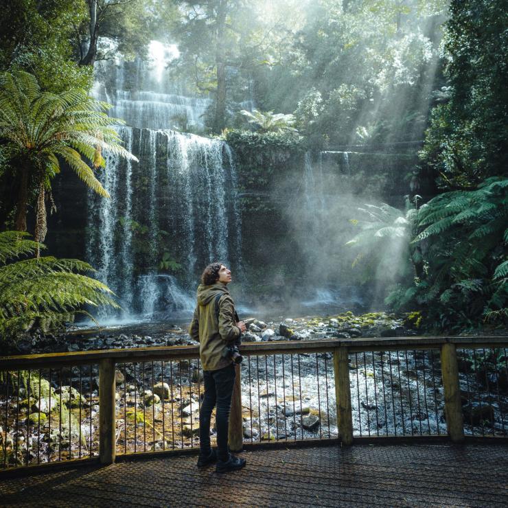 Man on viewing platform admires Russell Falls waterfall © Jason Charles Hill Man on viewing platform admires Russell Falls waterfall © Jason Charles Hill