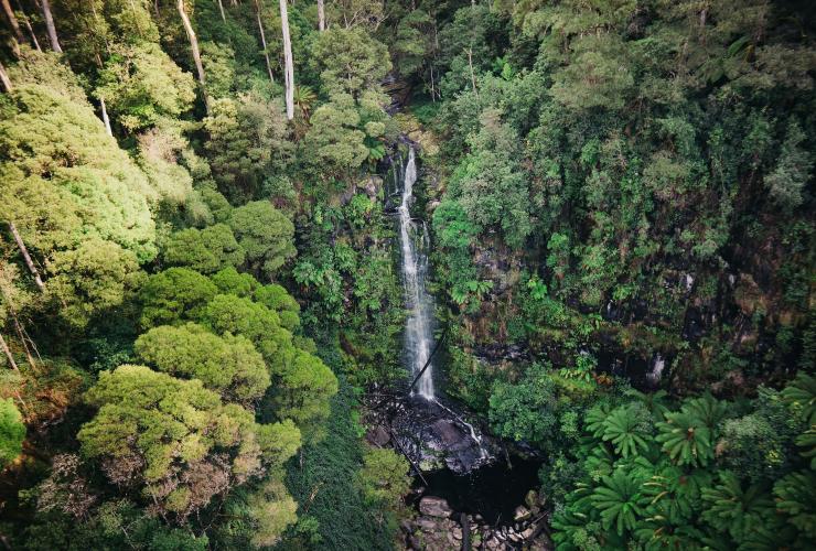 Aerial view over Erskine Falls waterfall near Lorne © Visit Victoria Aerial view over Erskine Falls waterfall near Lorne © Visit Victoria