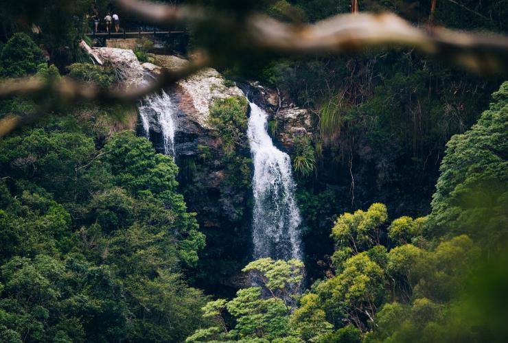 Warrie Circuit at Springbrook National Park © Destination Gold Coast Warrie Circuit at Springbrook National Park © Destination Gold Coast