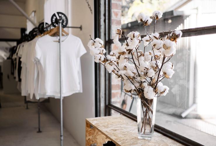 Sustainable T-shirts on display at Citizen Wolf in Sydney © Jason de Plater Sustainable T-shirts on display at Citizen Wolf in Sydney © Jason de Plater