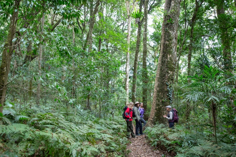 Spicers Scenic Rim Trail, Scenic Rim, Queensland © Spicers Retreats Spicers Scenic Rim Trail, Scenic Rim, Queensland © Spicers Retreats