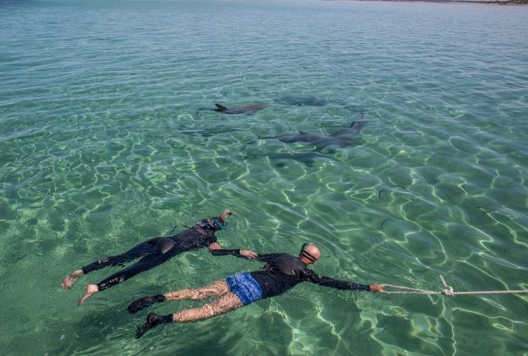 Kangaroo Island Marine Adventures, Kangaroo Island, SA © Tourism Australia